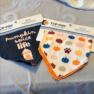 Top Paw Pumpkin Spice Dog Bandanas - Navy and White